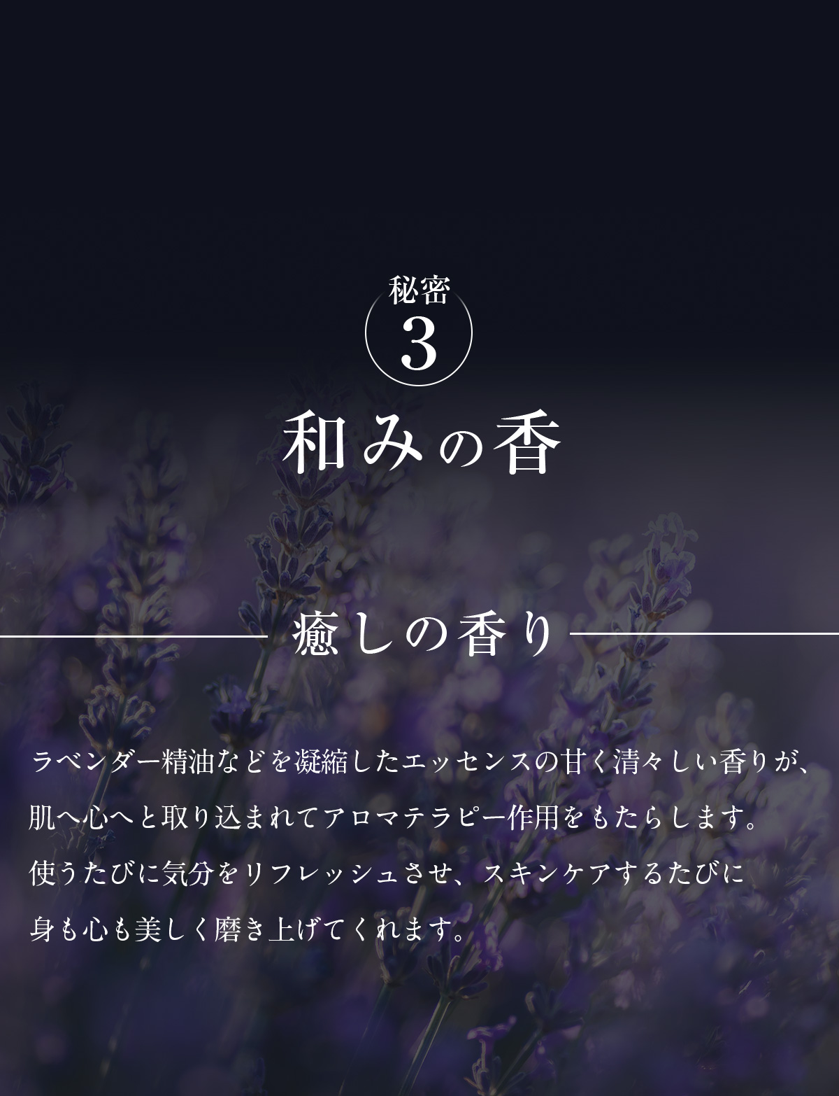 ファシーノ ナイトハーブエッセンス 商品情報 Fascino Night Herb 