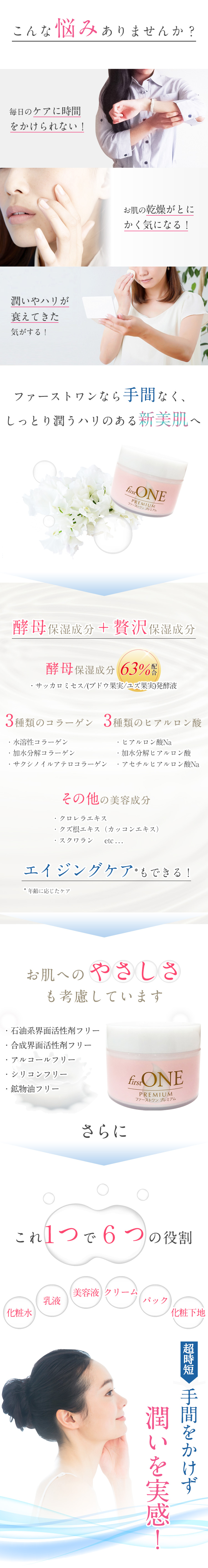 ファーストワンプレミアム定期11画像